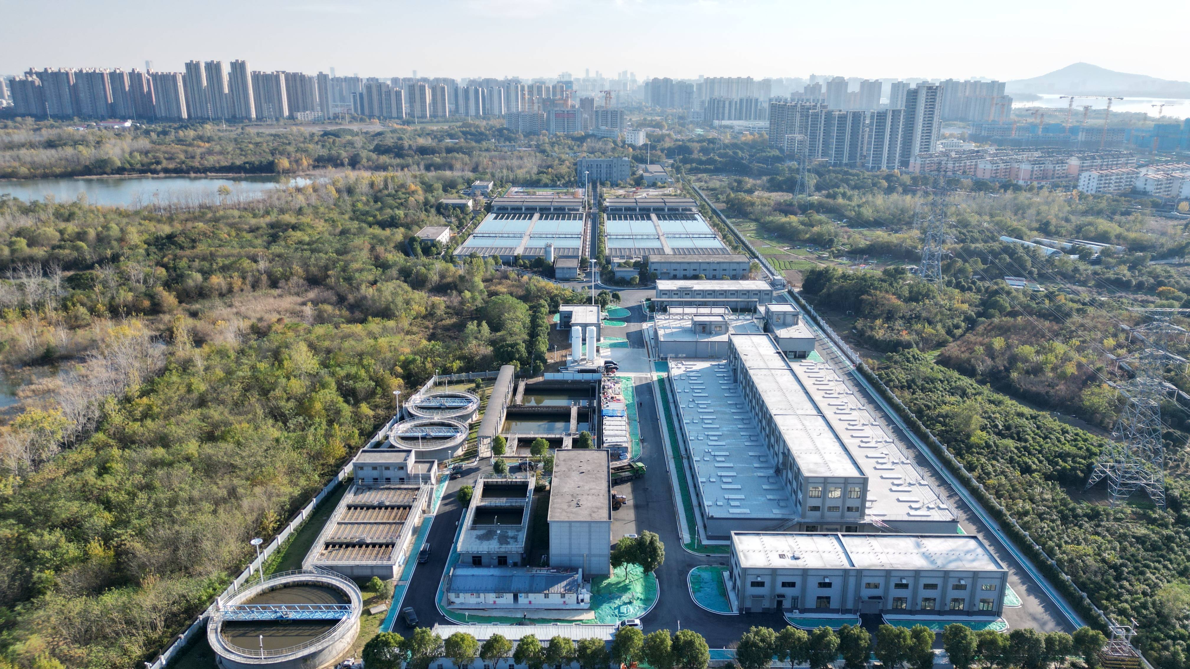 拉萨市合肥专业企业价值增长(合肥市重点企业产业目录)