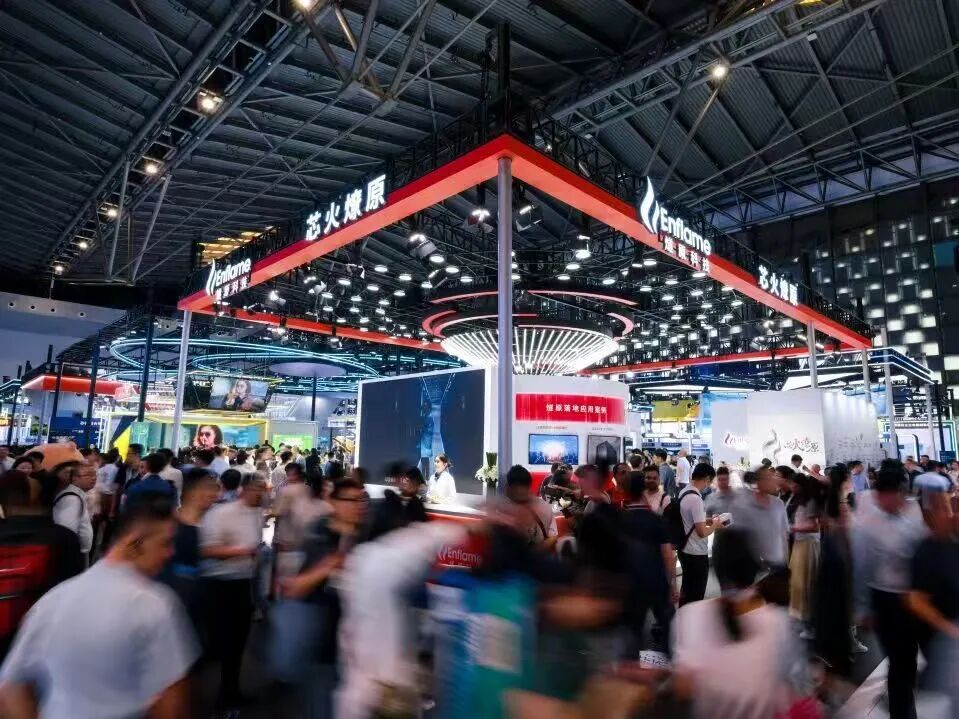 拉萨市成熟期IPO辅导(成熟期的上市公司有哪些)