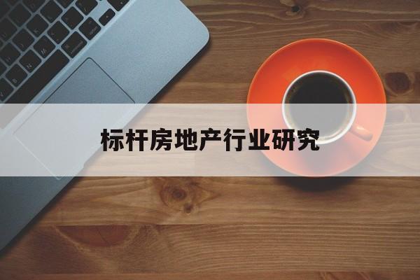 拉萨市标杆房地产行业研究(房地产领域的标杆人物)