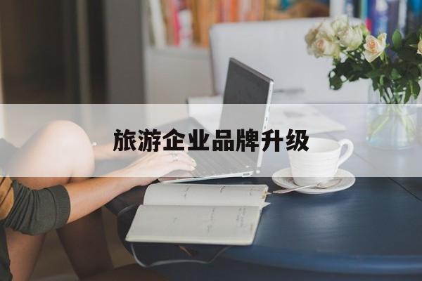 拉萨市旅游企业品牌升级(旅游企业品牌升级措施)
