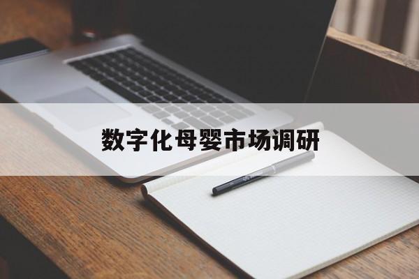 拉萨市数字化母婴市场调研(数字化母婴市场调研报告)